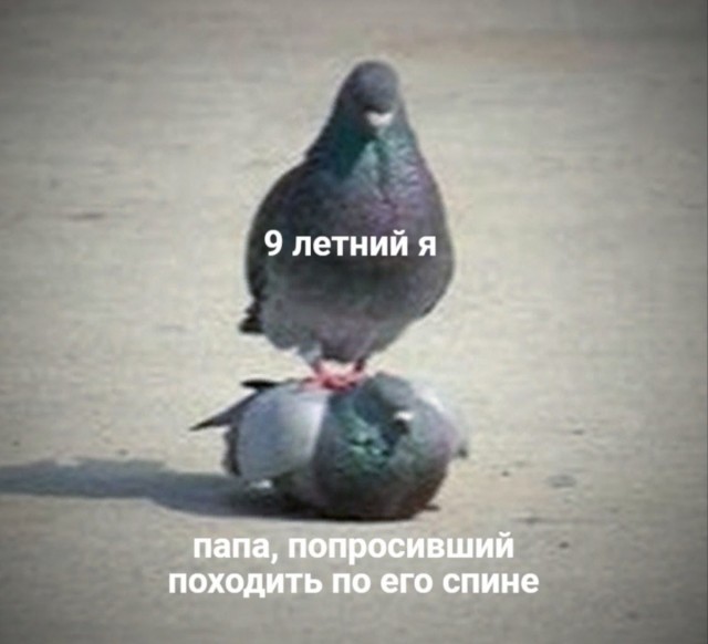 Юмор и картинки разные