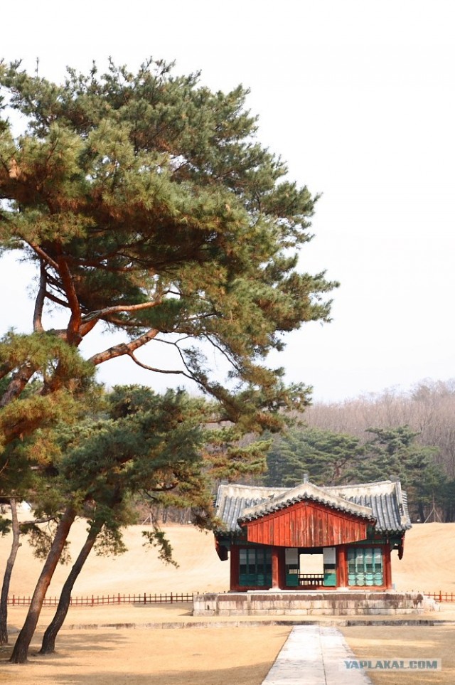 НЕтуристическая Корея