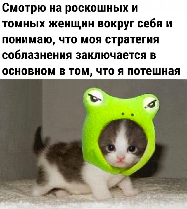 Так себе картинки 19.07.22