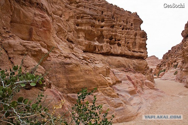 Синайские приключения. Шарм-эш-Шейх и окресности