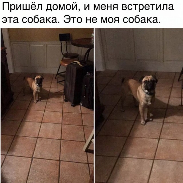 Так себе картинки 07.01.2023