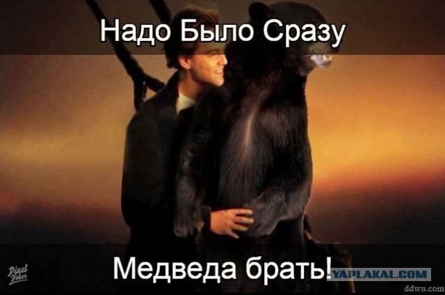 Бабы, которых передрал Леонардо Ди Каприо, пока у них были упругие попы