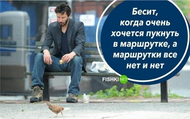 Чёрно-пошлая деградация