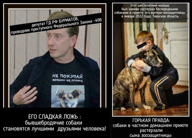 Скандал вокруг доходов семьи депутата Бурматова может заставить пересмотреть законодательство