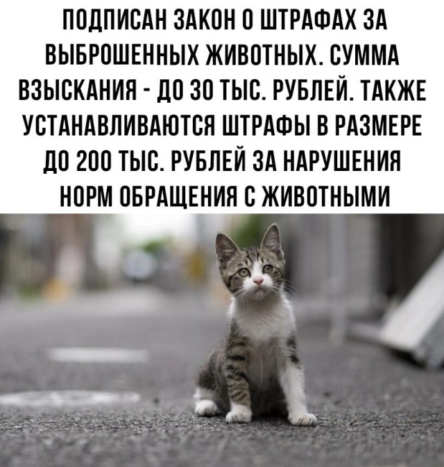 Картинки и мемы, всяко разно - 185