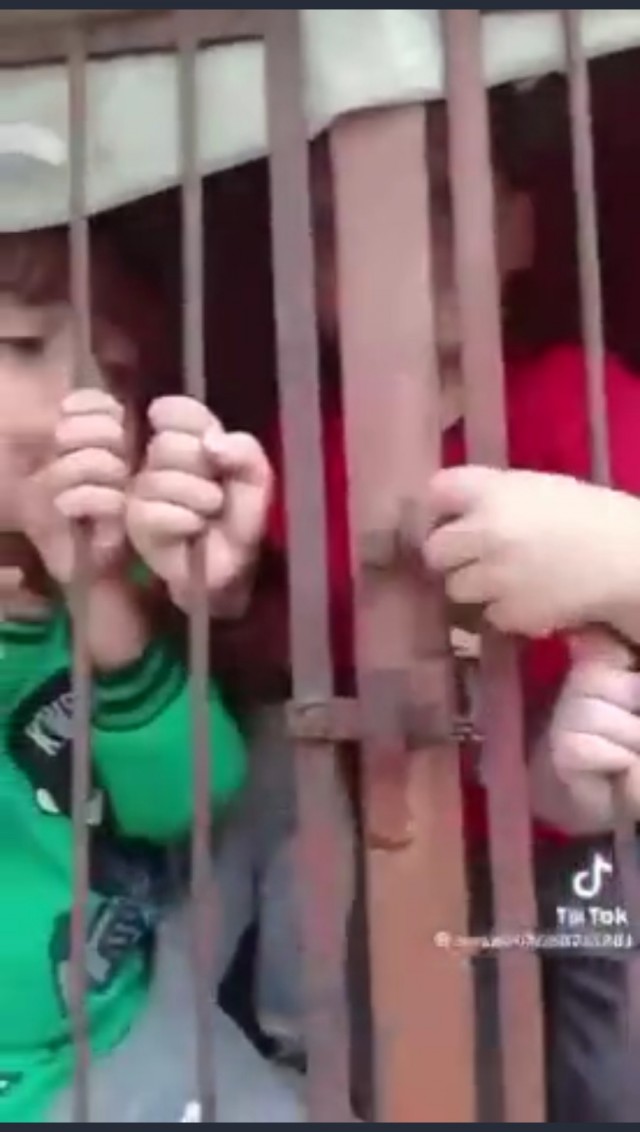 Захваченные еврейские дети в клетках