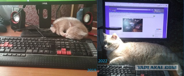 До и после