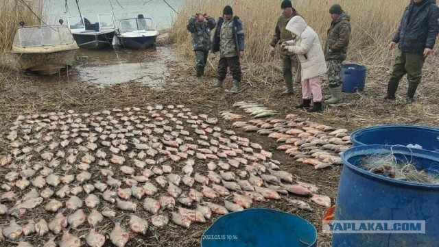 Вот это залёт за ветки деревьев — на 16 миллионов рублей!