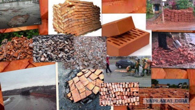 ОМОН крепит красные мокасины