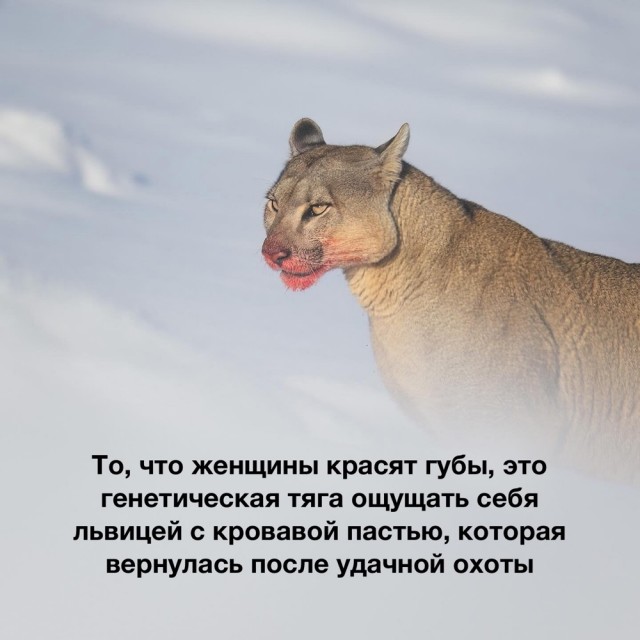 Нуштош 02.02.2024