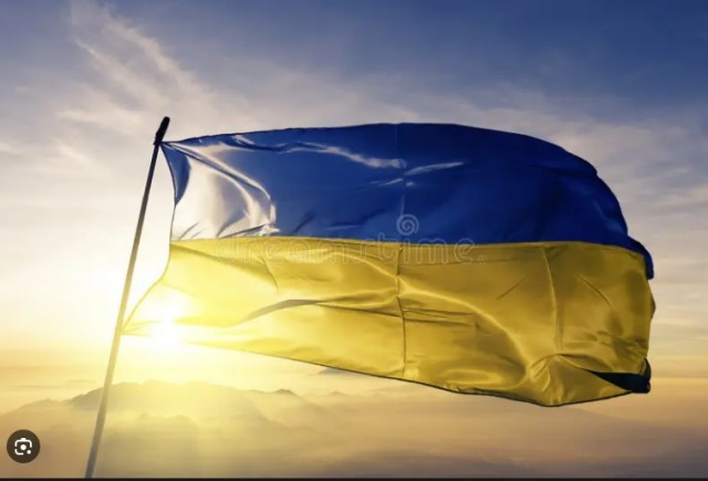 На жительницу Вологодской области написали донос из-за фото в жёлтой куртке на фоне синего неба.