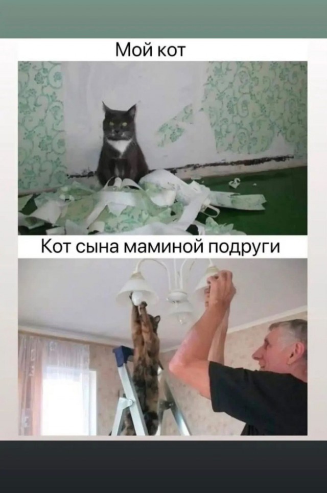 Завалялось тут случайно немного забавных картинок