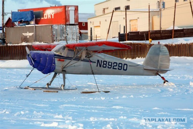 Занимательная Аляска