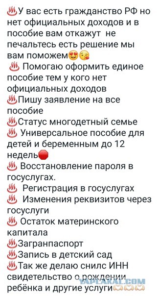 Для чего на самом деле минранты получают гражданство РФ