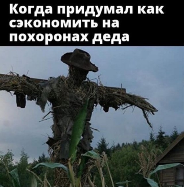 Веселые картинки к пятнице (30.08)