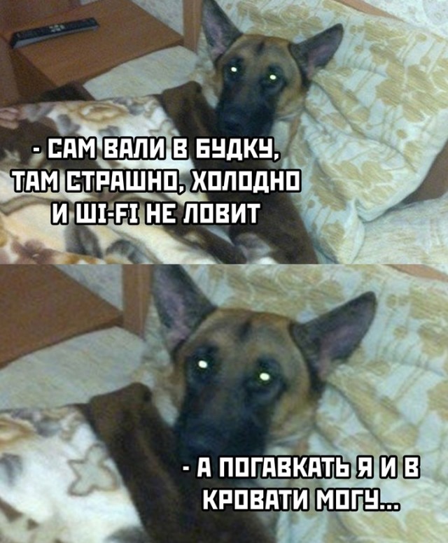 Так себе картинки 23.11.24