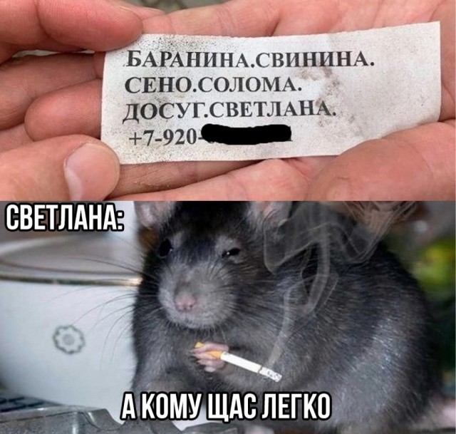 Нуштош 13.12.2024