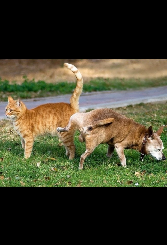 С кото вторником .