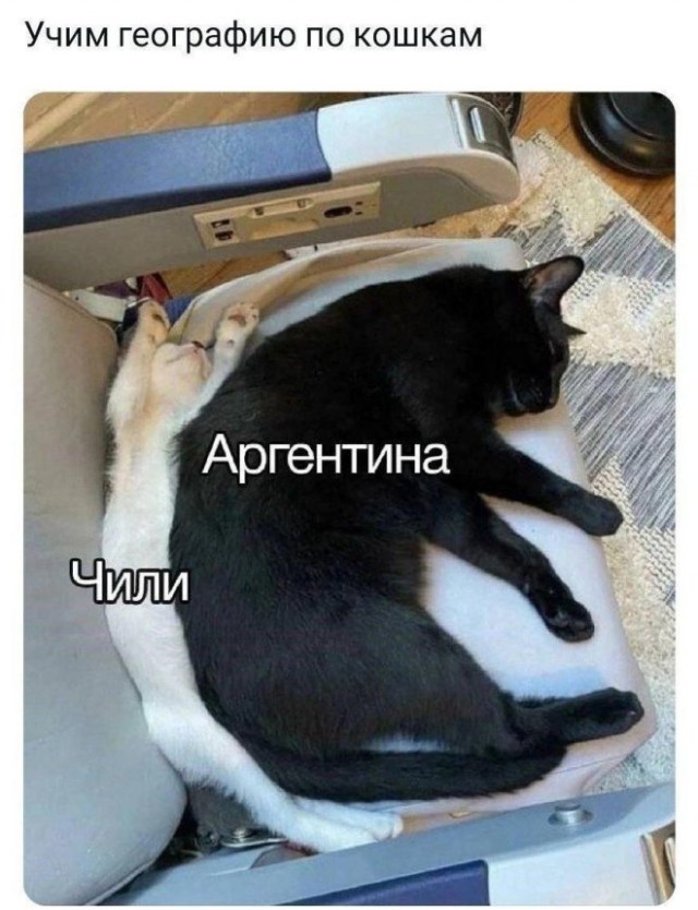 Веселые картинки в пятницу (18.04)