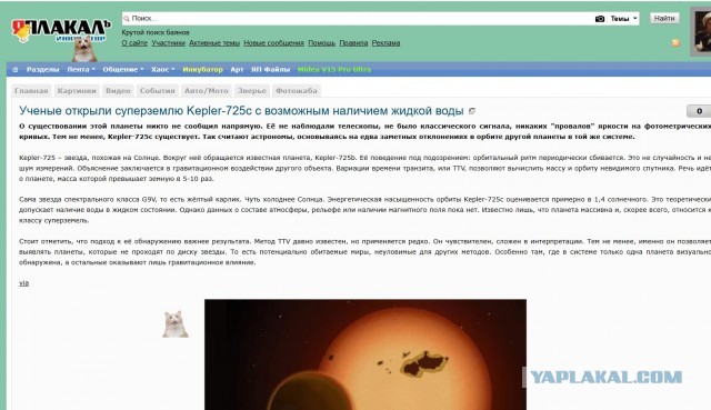 Поимка кота.