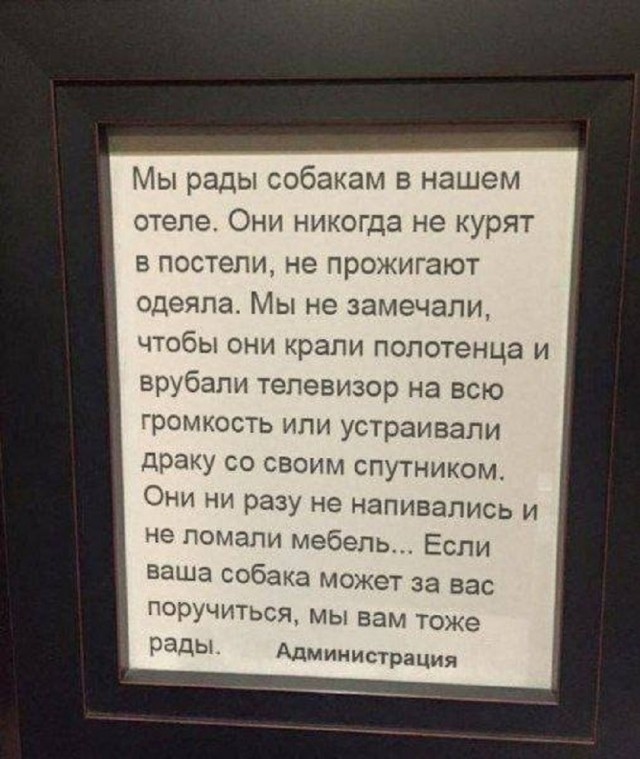 Так себе картинки 04.11.25