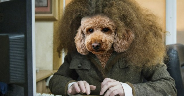 Иноагент Латынина травит макаревичей