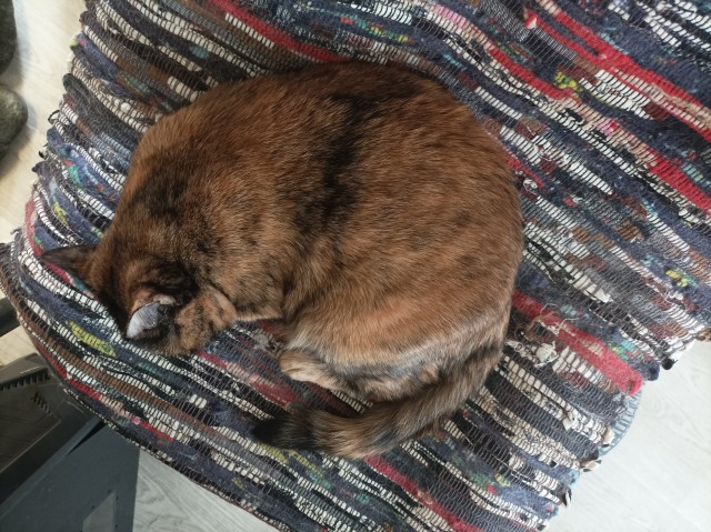 А почему женщин раздражает "являющийся на диване" муж?