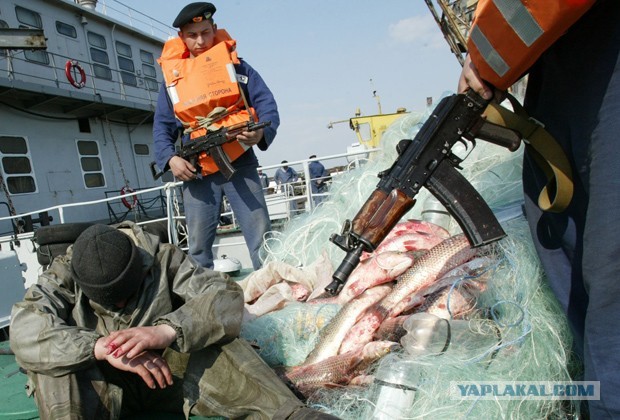 Что происходит с Азовским морем