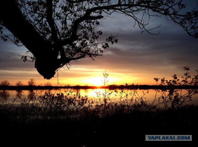 Красота природы не зависит от....