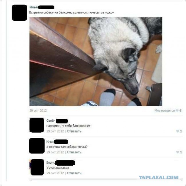 Смешные комментарии из социальных сетей