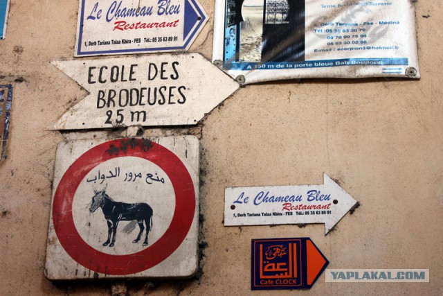 Новогодняя ночь в пустыне Сахара