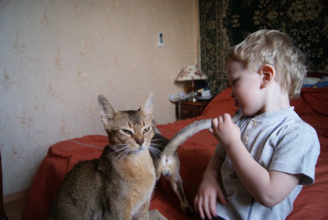 Кошка и котё... ребёнок