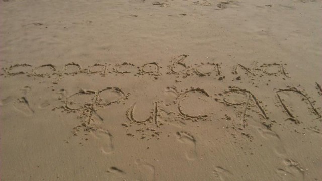 Чемпионат Мира 2014 Бразилия