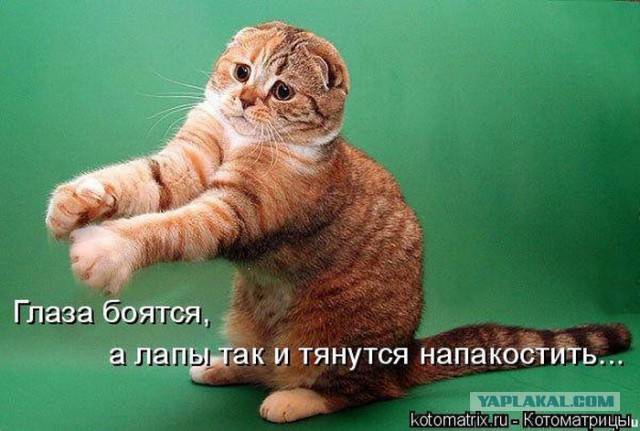 Всем зеленки!