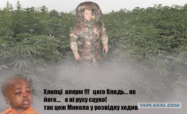 Укрыватник.