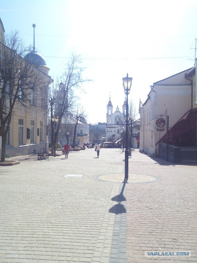 Миграция московского планктона