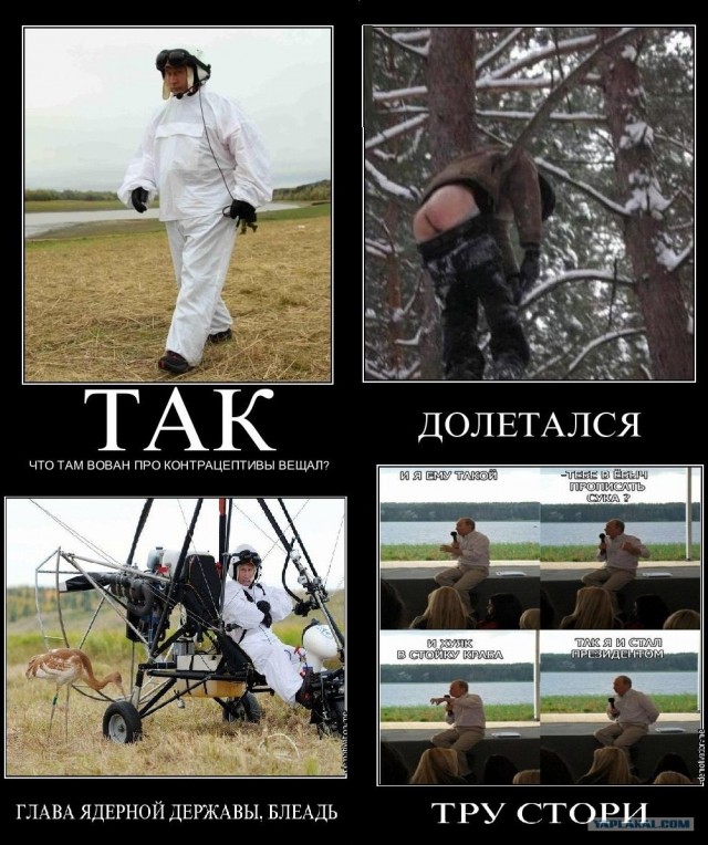 Путин с клювом в халате возглавил журавлиный клин