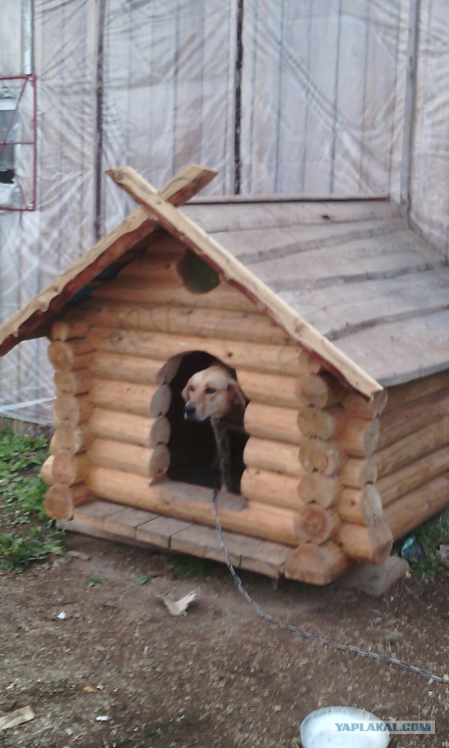Будка для собаки своими руками.
