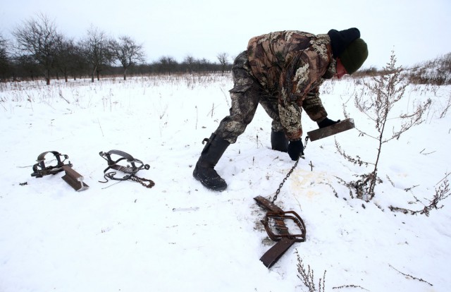 Охота на волков возле Чернобыльской зоны