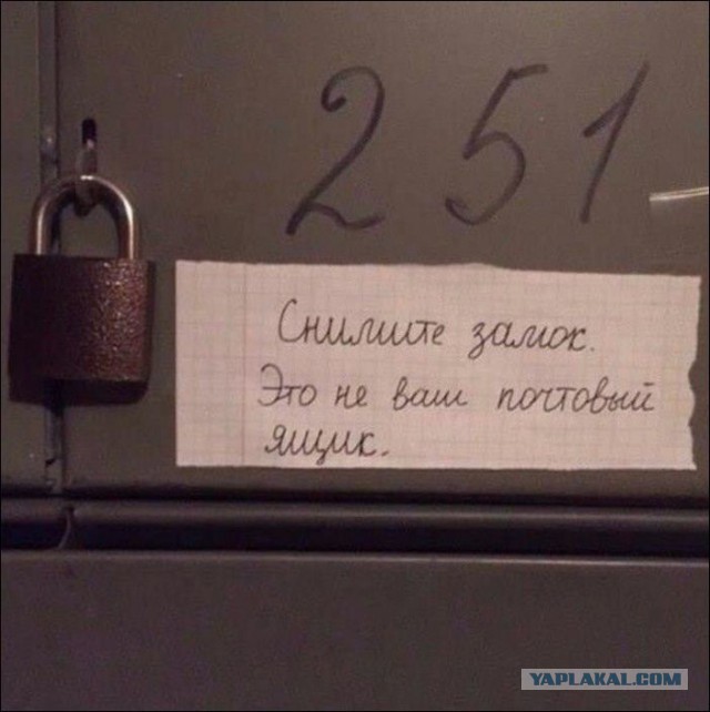 Подборка интересных и веселых картинок