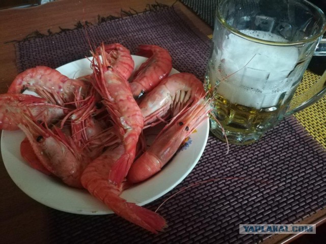 Кубок конфедераций 2017