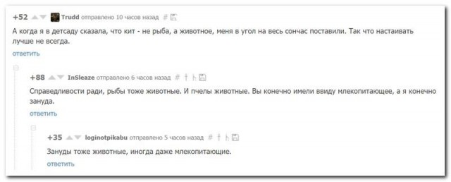 Забавные картинки