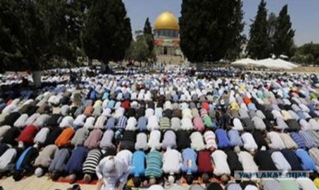 Минобороны Норвегии: Путин ещё должен заслужить наше приглашение