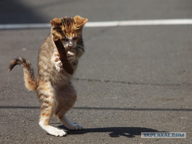 К успеху идёт!