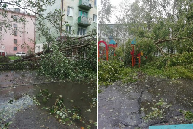 Шторм в Архангельске и Северодвинске валит деревья, срывает крыши