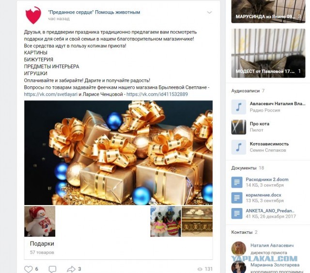 Помогите вернуть кота! Приют "Преданное сердце" украл кота и не отдает!-2