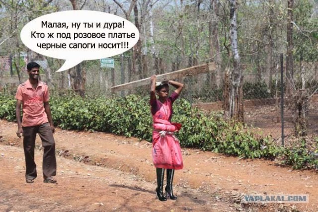 Битва фотожаберов №6.Субботник