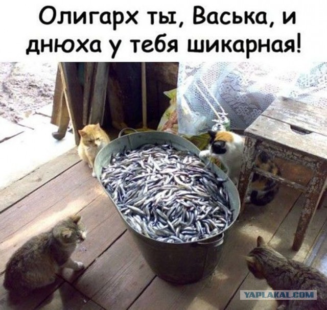 Кретинизмы из сети 05.02.21