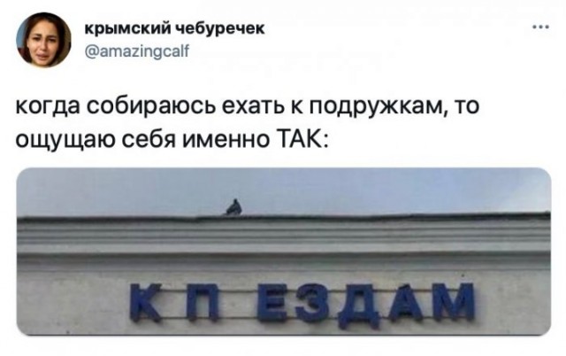 Картинки и мемы для настроения