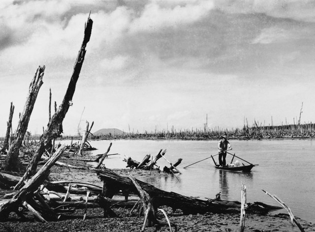 Редкие кадры войны во Вьетнаме с победившей стороны, 1965-1975 гг.